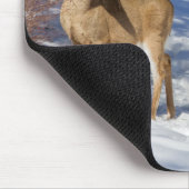 Tapis De Souris Deux cerfs à queue blanche en hiver (Coin)