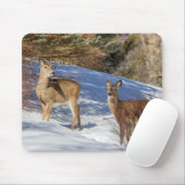 Tapis De Souris Deux cerfs à queue blanche en hiver (Avec souris)