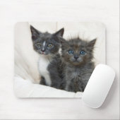 Tapis De Souris Deux chatons à table (Avec souris)