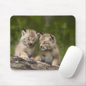 Tapis De Souris Deux Chatons Lynx (Lynx Canadensis) du Canada (Avec souris)