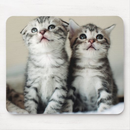 Tapis De Souris Deux chatons mignons (Devant)