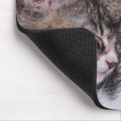 Tapis De Souris Deux chatons mignons faisant une sieste (Coin)