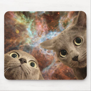 Tapis De Souris Deux chats gris dans l'espace avant une nébuleuse