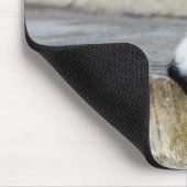 Tapis De Souris Deux chats sur pas de pierre (Coin)