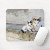 Tapis De Souris Deux chats sur pas de pierre (Avec souris)