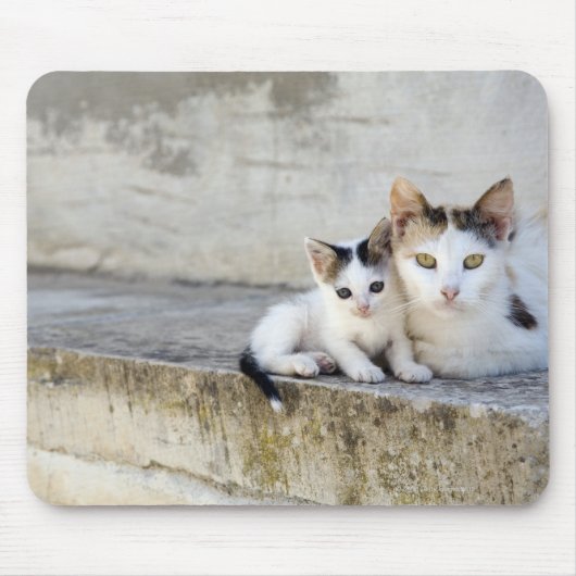 Tapis De Souris Deux chats sur pas de pierre (Devant)