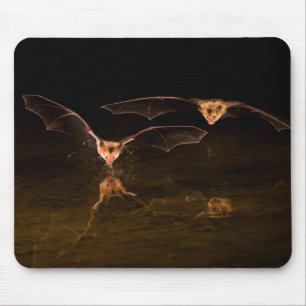 Tapis De Souris Deux chauves-souris volant au-dessus de l'eau, Ari