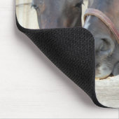 Tapis De Souris Deux chevaux Chewin a Fence (Coin)