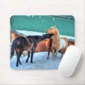 Tapis De Souris Deux chevaux Jouer Funny Equine Photographie (Avec souris)