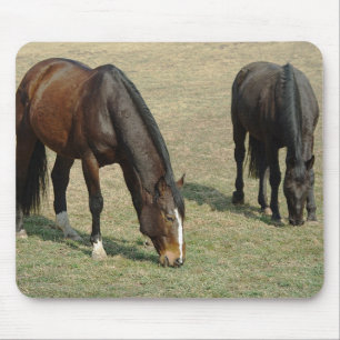 Tapis De Souris Deux chevaux - Mousepad