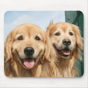 Tapis De Souris Deux chiens d'arrêt d'or de sourire