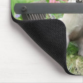 Tapis De Souris Deux chiens par chiot carlin et Boston Terrier dan (Coin)