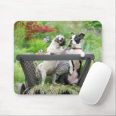 Tapis De Souris Deux chiens par chiot carlin et Boston Terrier dan (Avec souris)