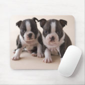 Tapis De Souris Deux chiots de Boston Terrier (Avec souris)