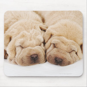 Tapis De Souris Deux chiots Shar Pei dorment