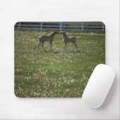 Tapis De Souris Deux colts sur le terrain (Avec souris)