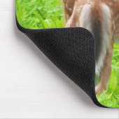 Tapis De Souris Deux crevettes de cerfs à queue blanche (Coin)