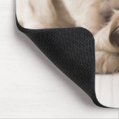 Tapis De Souris Deux Dachshund miniature (Coin)