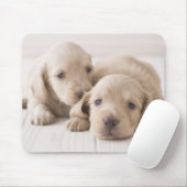 Tapis De Souris Deux Dachshund miniature (Avec souris)