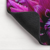 Tapis De Souris Deux dahlias violettes fleurs en fleurs (Coin)