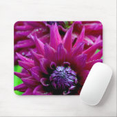 Tapis De Souris Deux dahlias violettes fleurs en fleurs (Avec souris)