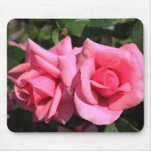 Tapis De Souris deux fleurs de rose rose chaud parfait. amour