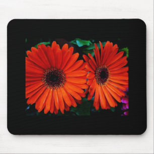 Tapis De Souris deux fleurs marguerites orange