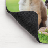 Tapis De Souris Deux German Shepherd (Coin)