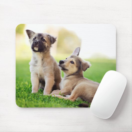 Tapis De Souris Deux German Shepherd (Avec souris)
