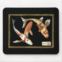 Deux Japonais Koi Goldfish sur un Arrière - plan n