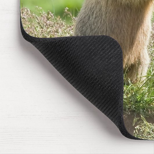 Tapis De Souris deux jeunes marmottes (Coin)