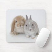 Tapis De Souris Deux lapins Netherland Dwarf et Holland Lop (Avec souris)