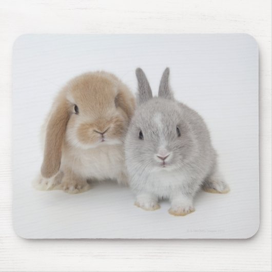 Tapis De Souris Deux lapins Netherland Dwarf et Holland Lop (Devant)