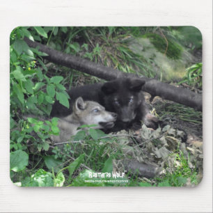 Tapis De Souris Deux loups gris Jouer Faune Nature Photo