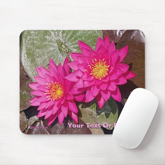 Tapis De Souris Deux Lys D'Eau Rose (Avec souris)