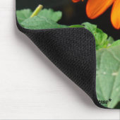 Tapis De Souris Deux monarques (Coin)