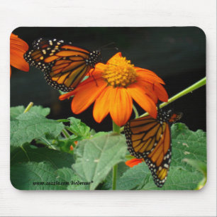 Tapis De Souris Deux monarques