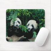 Tapis De Souris Deux pandas mangeant du bambou ensemble, Wolong (Avec souris)