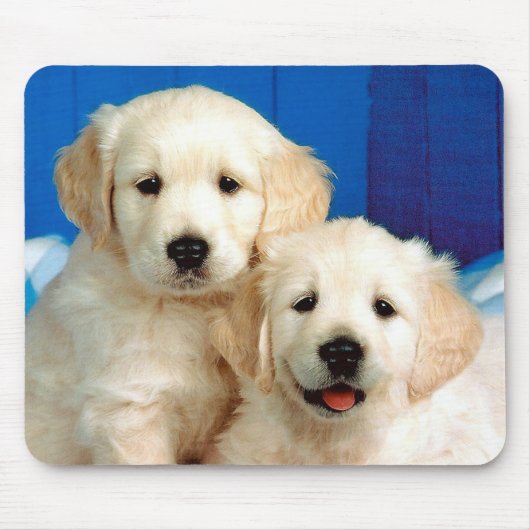 Tapis De Souris Deux petits du Labrador (Devant)