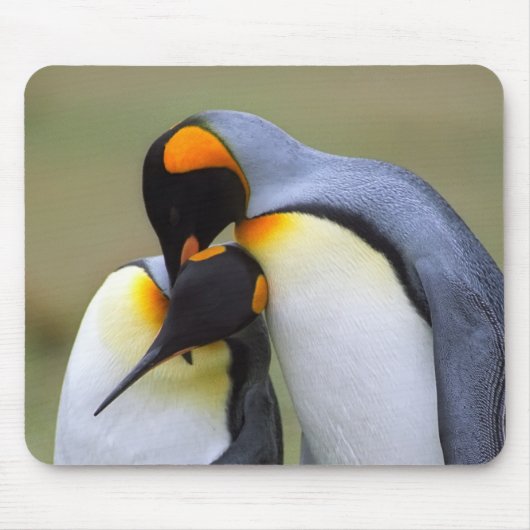 Tapis De Souris Deux pingouins d'amour (Devant)