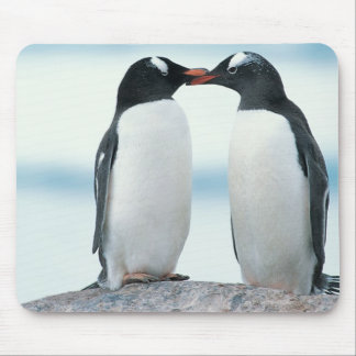 Tapis De Souris Deux pingouins touchant des becs
