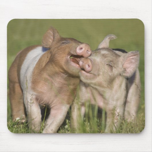 Tapis De Souris Deux porcelets heureux (Devant)
