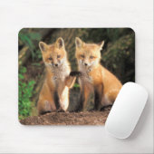 Tapis De Souris Deux renardeaux rouges devant leur tanière (Avec souris)
