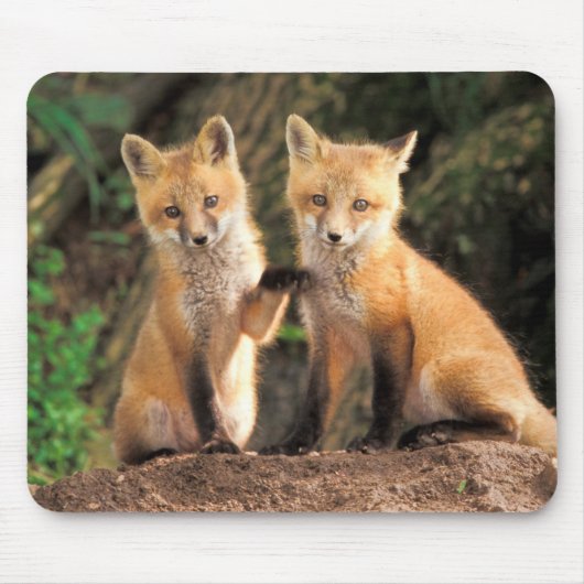 Tapis De Souris Deux renardeaux rouges devant leur tanière (Devant)
