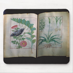 Tapis De Souris Deux representations de pages roses et ail
