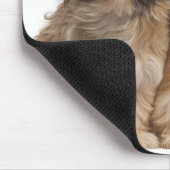 Tapis De Souris Deux Shih-Tzus au vent (Coin)