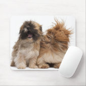 Tapis De Souris Deux Shih-Tzus au vent (Avec souris)