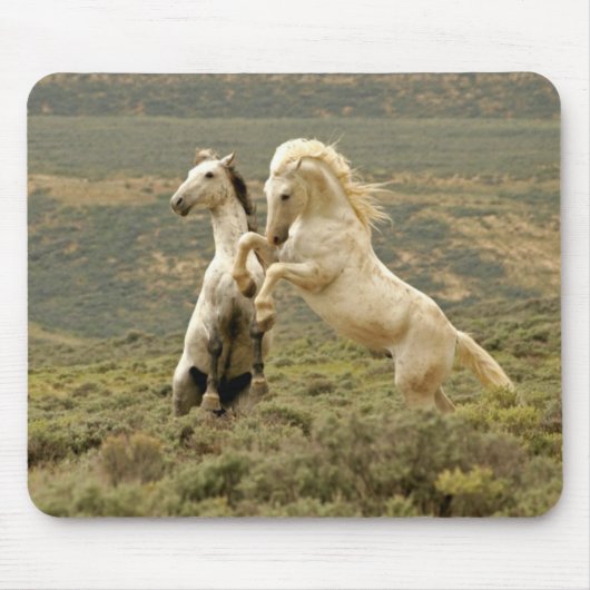 Tapis De Souris Deux Stallions sauvages combattent (Devant)