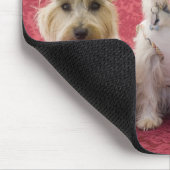 Tapis De Souris Deux terriers cairin et un westin (Coin)