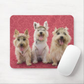Tapis De Souris Deux terriers cairin et un westin (Avec souris)